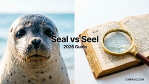 Seal vs Seel